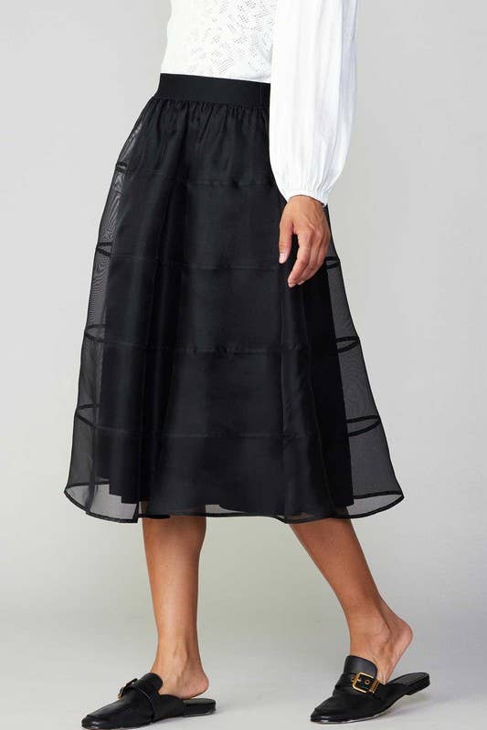 Sheer Puffy Skirt W/lining