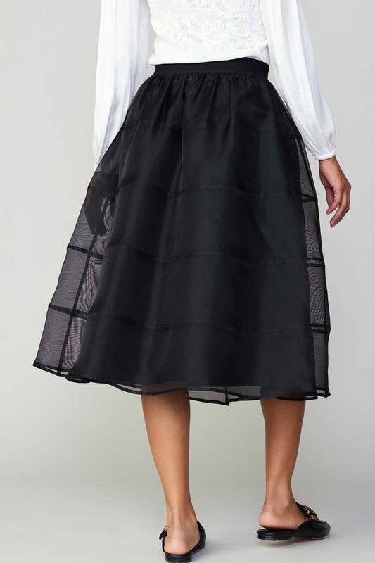 Sheer Puffy Skirt W/lining
