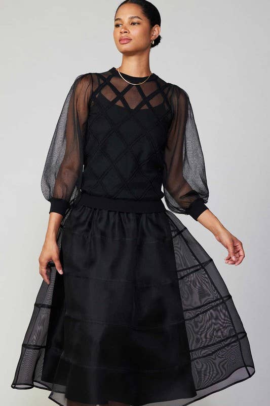Sheer Puffy Skirt W/lining