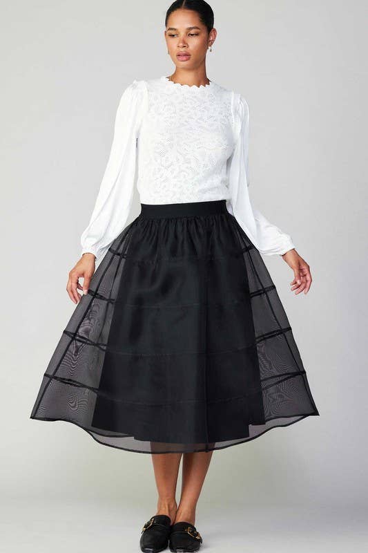 Sheer Puffy Skirt W/lining