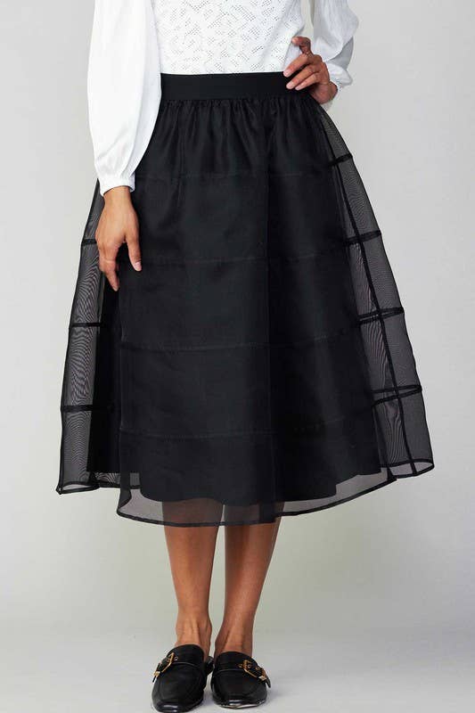 Sheer Puffy Skirt W/lining